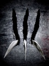 Wolverine Claw